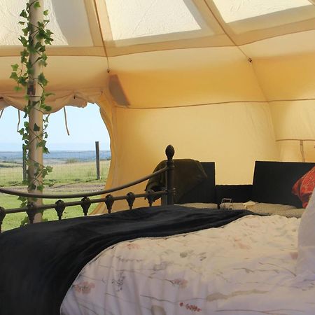 Tal-Y-Fan Farm 6M Stargazer Tent Bridgend  Eksteriør billede