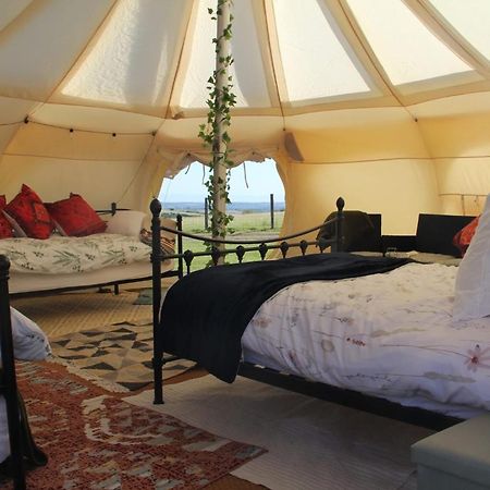 Tal-Y-Fan Farm 6M Stargazer Tent Bridgend  Eksteriør billede