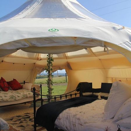 Tal-Y-Fan Farm 6M Stargazer Tent Bridgend  Eksteriør billede